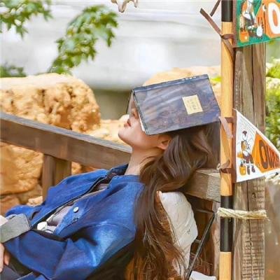 叔的小祖宗闪婚后爆宠了